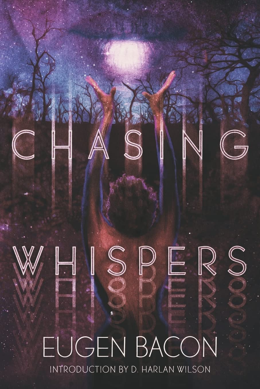 Chasing Whispers - Paperback - Cover Photo