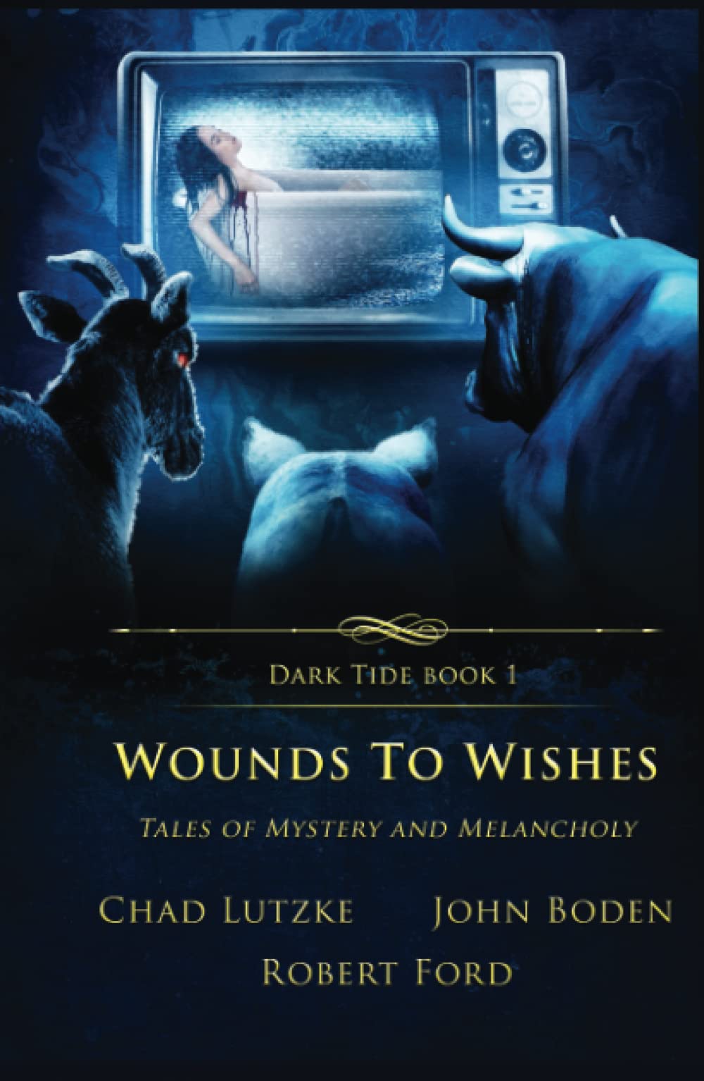 Wounds To Wishes - Cover Photo